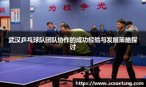 武汉乒乓球队团队协作的成功经验与发展策略探讨
